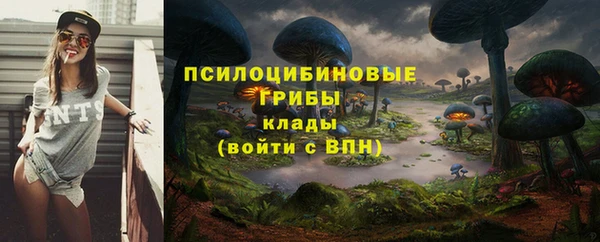 метадон Аркадак